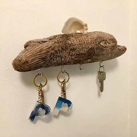 Platyforos