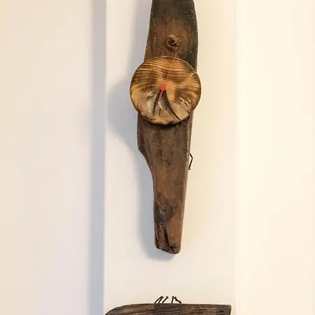 Platyforos